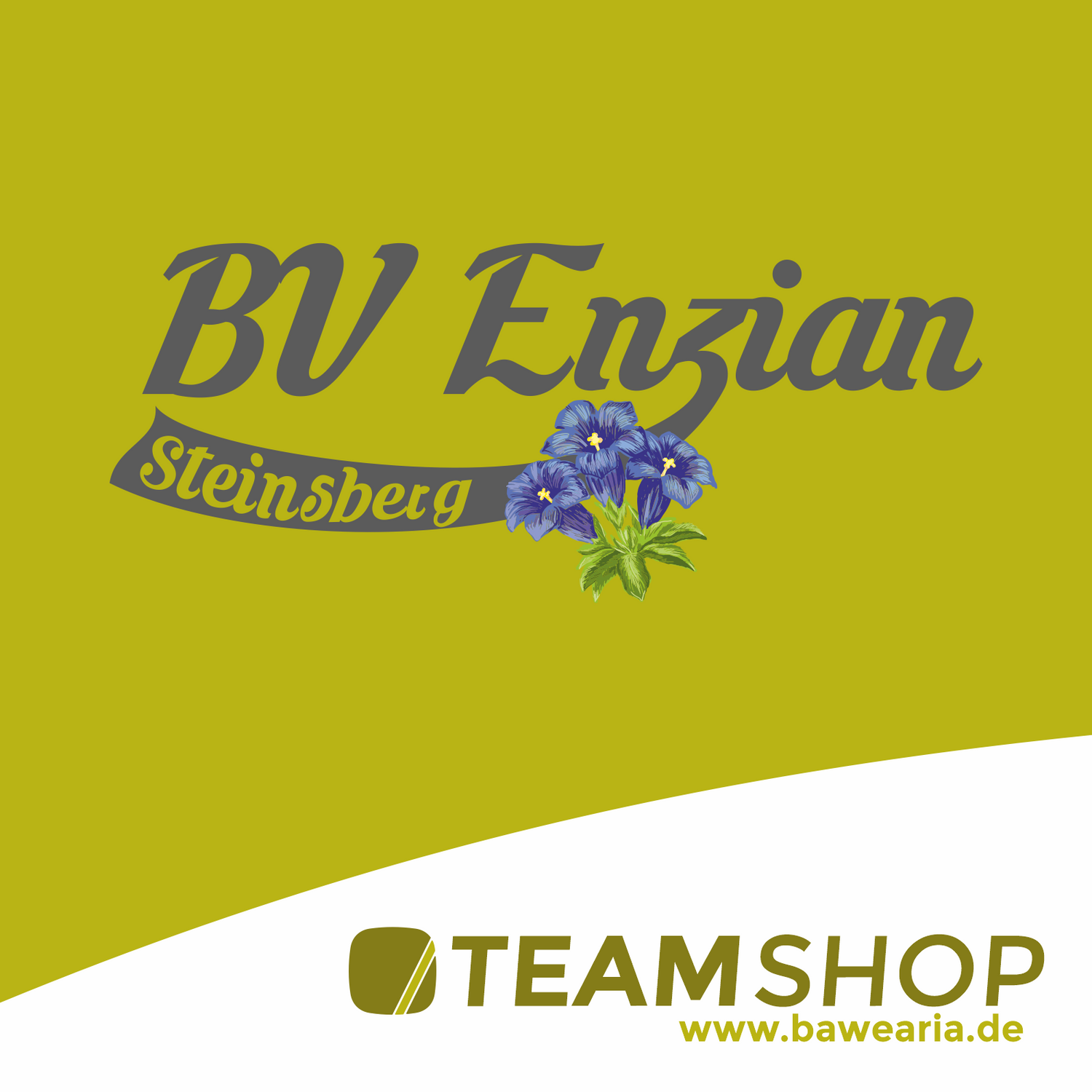 BV Enzian Steinsberg