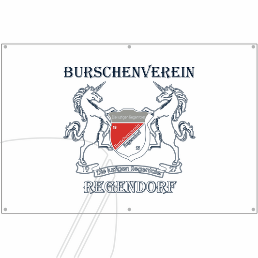 BV Regendorf Banner